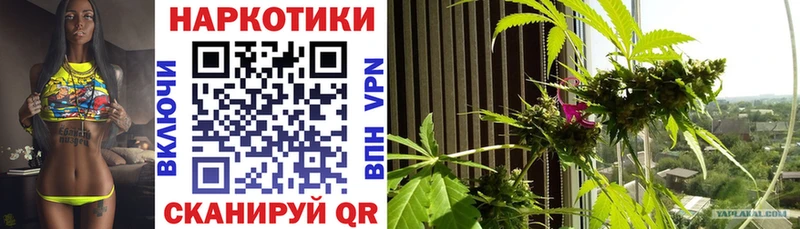 Продажа наркотиков Галич Канабис  А ПВП  МЕФ  Кокаин 
