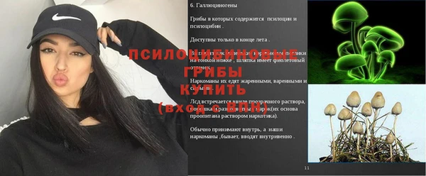 амф Анива