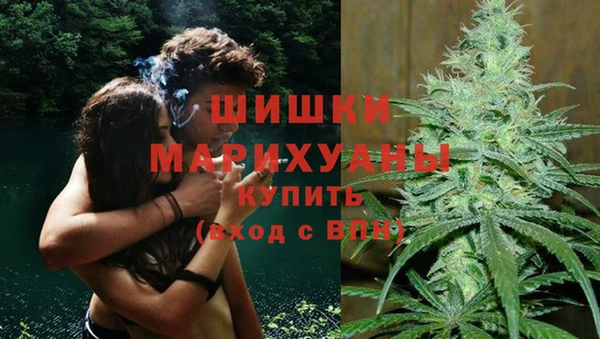 мдпв Володарск