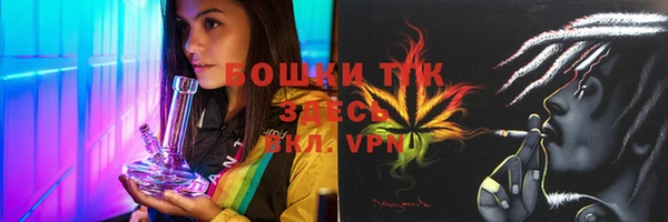 мдпв Володарск