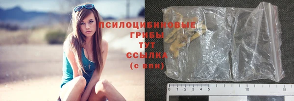 мдпв Володарск