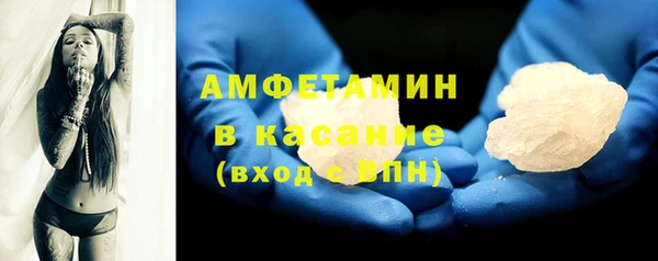 шишки Майский
