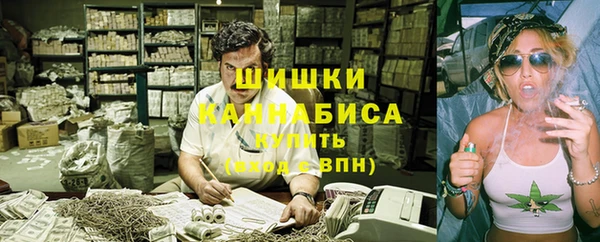 мдпв Володарск
