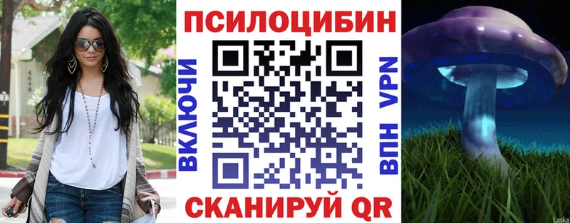 hydra зеркало Галич Псилоцибиновые грибы Cubensis
